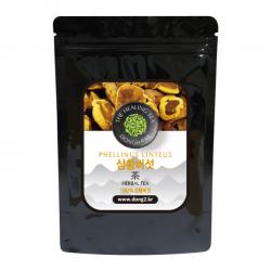 동이약초 중국산 상황버섯, 100g, 1개
