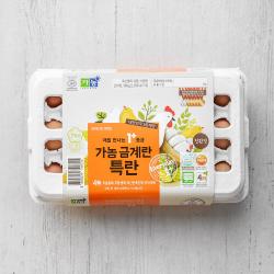 가농 금계란 매일 만나는 1+등급 특란 15구 900g 1개