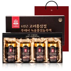 고려홍삼중앙회 6년근 고려홍삼정 투데이 녹용홍삼농축액 250g 4개