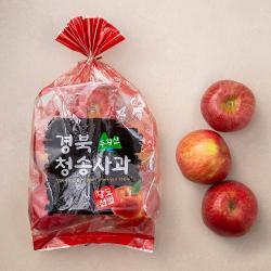 다조은 청송 주왕산 당도선별 사과 1.5kg 4~8입 1개