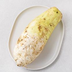 못생겨도 맛있는 무 1입