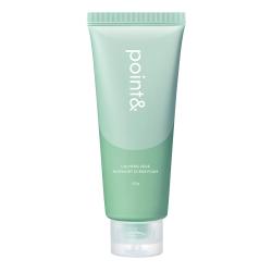 포인트앤 진정 베지 쑥크럽 클렌징 폼, 150ml, 1개