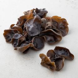 무농약 인증 국내산 생목이버섯 320g 1팩