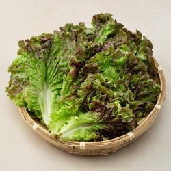친환경 적상추 200g 1봉