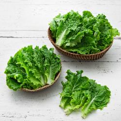곰곰 국내산 청상추 1개