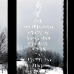 에스에이치코리아 포인트 스티커 허락기도문, 화이트