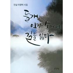  문학의봄 들개 안개 속에서 길을 잃다 : 진실 이영박 시집 문학의봄