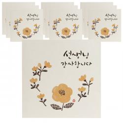 헬로우모리스 종이꽃 선생님 카드 12 X 12 Cm 혼합 색상 10개입