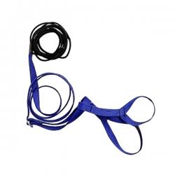 Aviator 앵무새용 하네스 petiet 랜덤발송, 1개