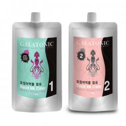 갈라토닉 새치용 오징어먹물염색약 1제 500ml + 2제 500ml 2n검정색 1세트