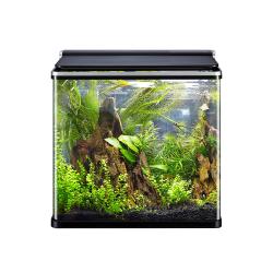 아마존 곡유리 아쿠아리움 수조 Amz 640f 블랙