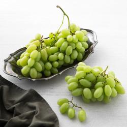 스텔라벨라 포도 1.2kg 1팩