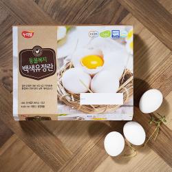 누리웰 동물복지 백색유정란 20구 1040g 1개