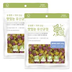 굿데이 맛있는 유산균껌 강아지 간식 블루베리혼합 2개