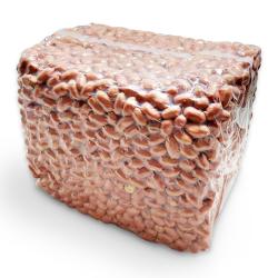 투데이넛 Jp 볶음땅콩 3.75kg 1개
