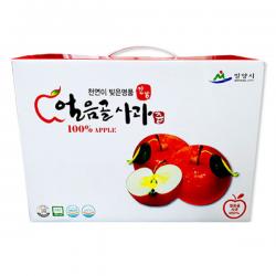 햇빛식품 밀양 얼음골 사과즙, 110ml, 50개