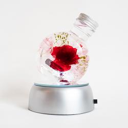 스너그앤코 하바리움 카네이션 + LED 조명 코스터 + 포장상자, 레드 카네이션(C01)
