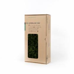 스칸디아모스 이끼 Rm500 모스그린 500g 1개