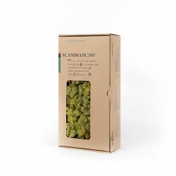 스칸디아모스 이끼 Rm500 올드스프링 500g 1개