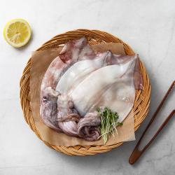국산 생물 오징어, 300g (2~3마리), 1팩