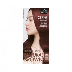 꽃을든남자 Cs먹물 프리미엄 헤어 칼라크림 N6 30 자연갈색 1개