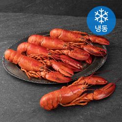 블루씨푸드 캐나다 자숙 랍스터 5미 냉동 2kg 1개