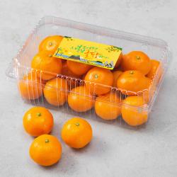 귤탐 당도선별 감귤 로열과 1.5kg 1박스
