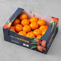 귤탐 당도선별 하우스감귤 로열과, 3kg(S~M), 1박스