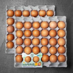 농협 참한알 무항생제 인증 대란, 3120g, 1개
