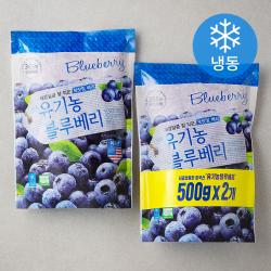 호재준 유기가공식품 인증 블루베리 냉동 500g 2팩