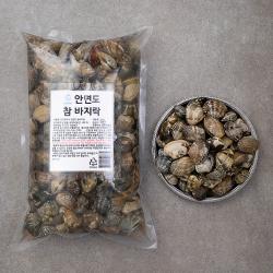 단디프레시 안면도 참바지락, 1kg, 1개