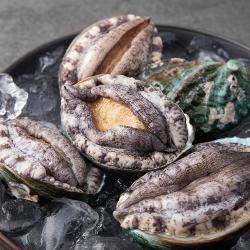 아라보감 산소 품은 국산 전복 4~5미 500g 1개