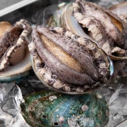 아라보감 산소 품은 국산 전복 9~10미 1kg 1개