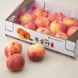 농협 황소고을 청도 아삭복숭아 10내, 3kg, 1박스