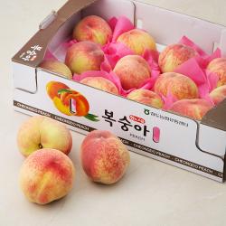 농협 황소고을 청도 아삭복숭아 12내, 3kg, 1박스