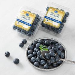 폴앤박 유레카 블루베리, 125g, 2개