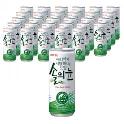 롯데칠성음료 머리까지 시원해지는 느낌 솔의눈 30개 240ml