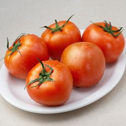 광식이농장 Gap 인증 완숙토마토 1kg 1개