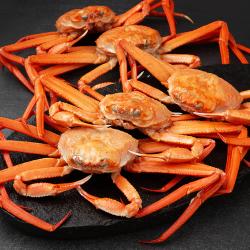 해선생 포항시 인증 바로먹는 구룡포 붉은대게, 1050g(5미), 1개