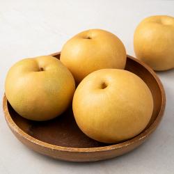 [로켓프레시] 새벽경매 아삭한 배, 1.5kg, 1팩
