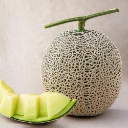 새벽경매 머스크메론 1.5kg 1개