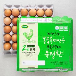  로켓프레시 자연애찬 동물복지 인증 무항생제 유정란 30구 1560g 1개