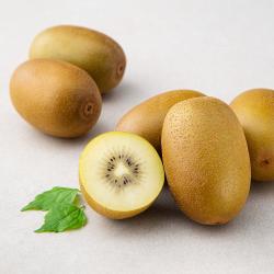  로켓프레시 제스프리 썬골드 키위 725g 왕점보 1팩