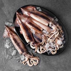 살맛나요 국내산 서해안 산지직송 생물오징어 (냉장), 1개, 2.4kg(10미)