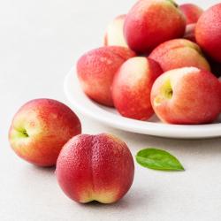  로켓프레시 새벽경매 새콤달콤 신비복숭아 500g 1팩