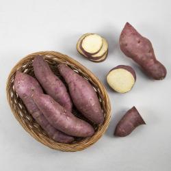 맛있는 밤고구마(대) 2kg, 1개