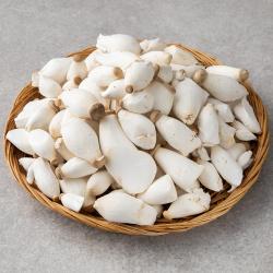 친환경인증 미니 새송이버섯 600g 1봉
