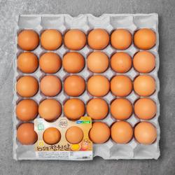 농협 참한알 무항생제 인증 특란, 1800g, 1개