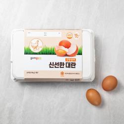  로켓프레시  곰곰 신선한 무항생제 대란 15구 1개