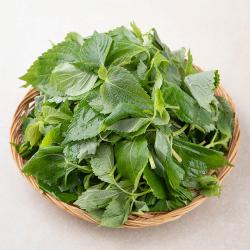 국내산 깻순 170g 1봉